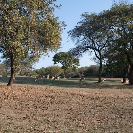 Kruger Park Lodge Unit 245 Hazyview Exteriér fotografie